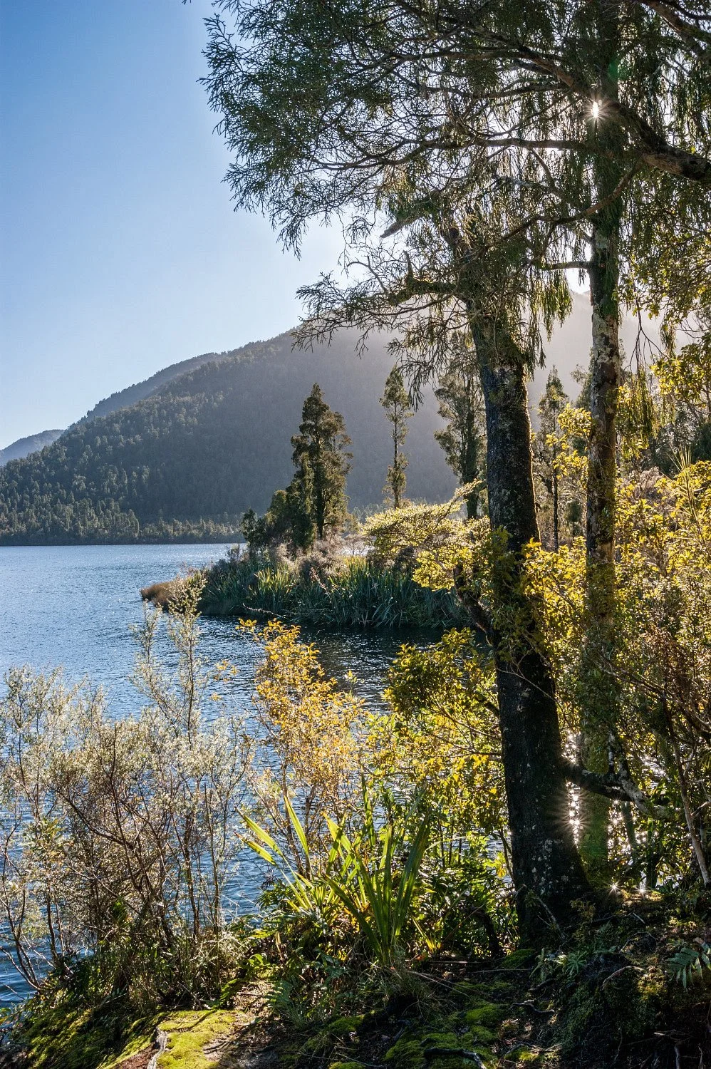 Lake Ellery