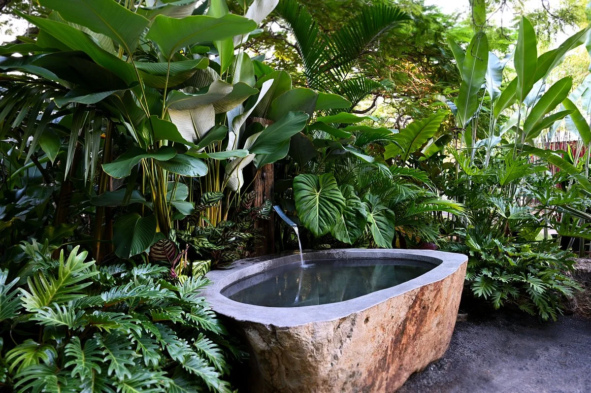 Bamboo Land Nursery & Parklands