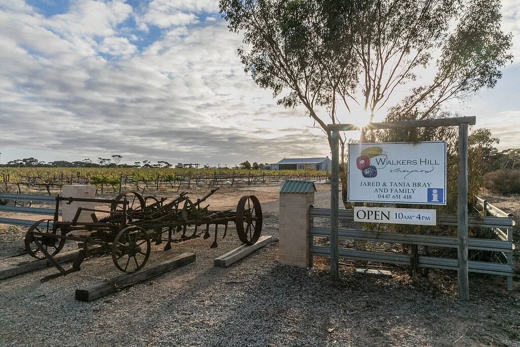 Walkers Hill Vineyard