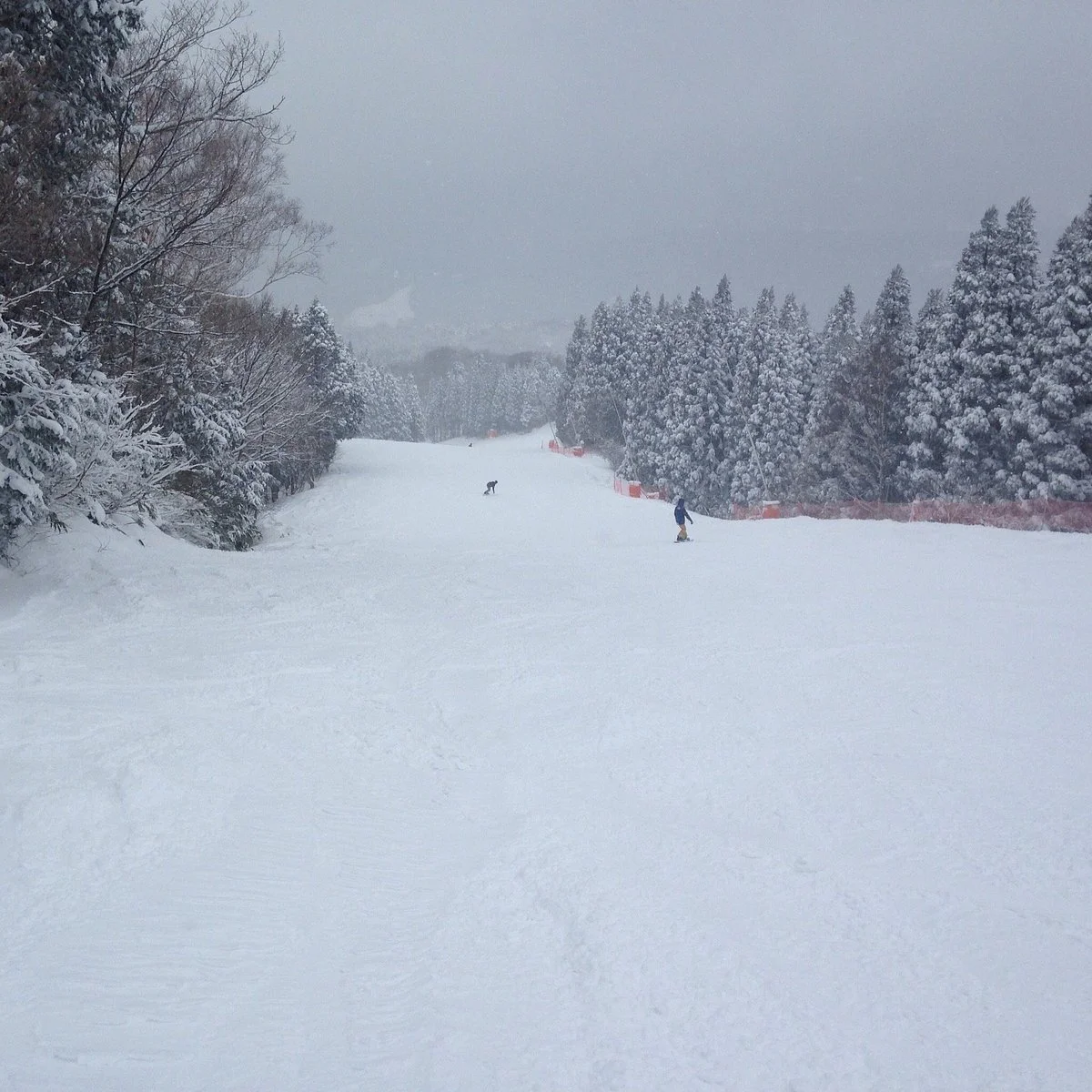 Washigatake Ski Area
