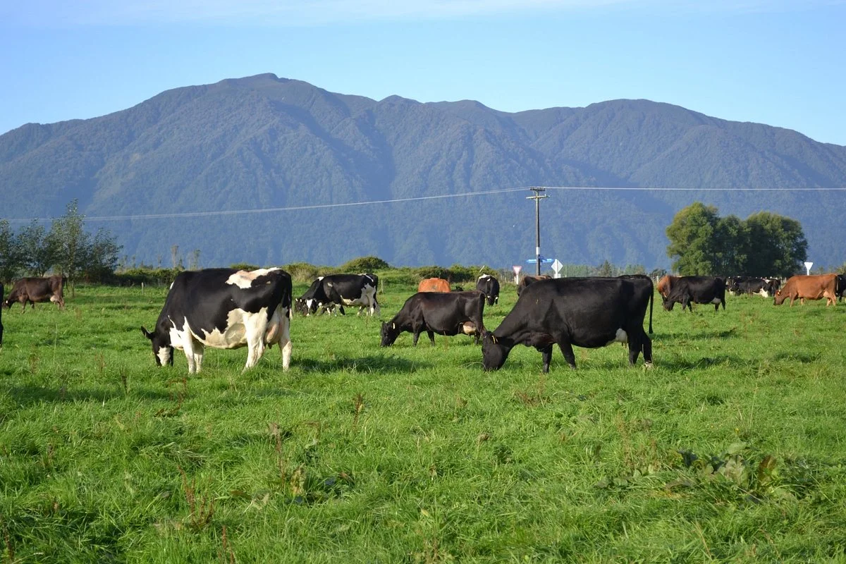 Farwest Farm Tours