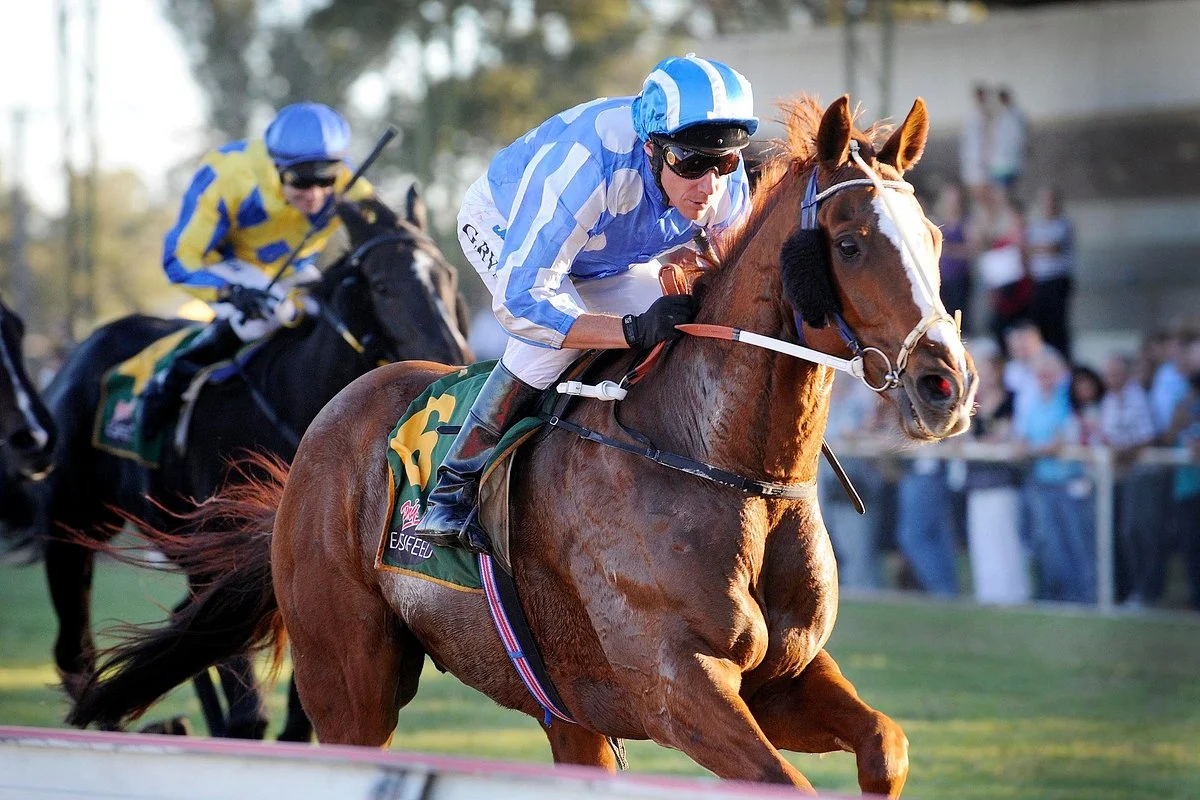 Gunnedah Jockey Club