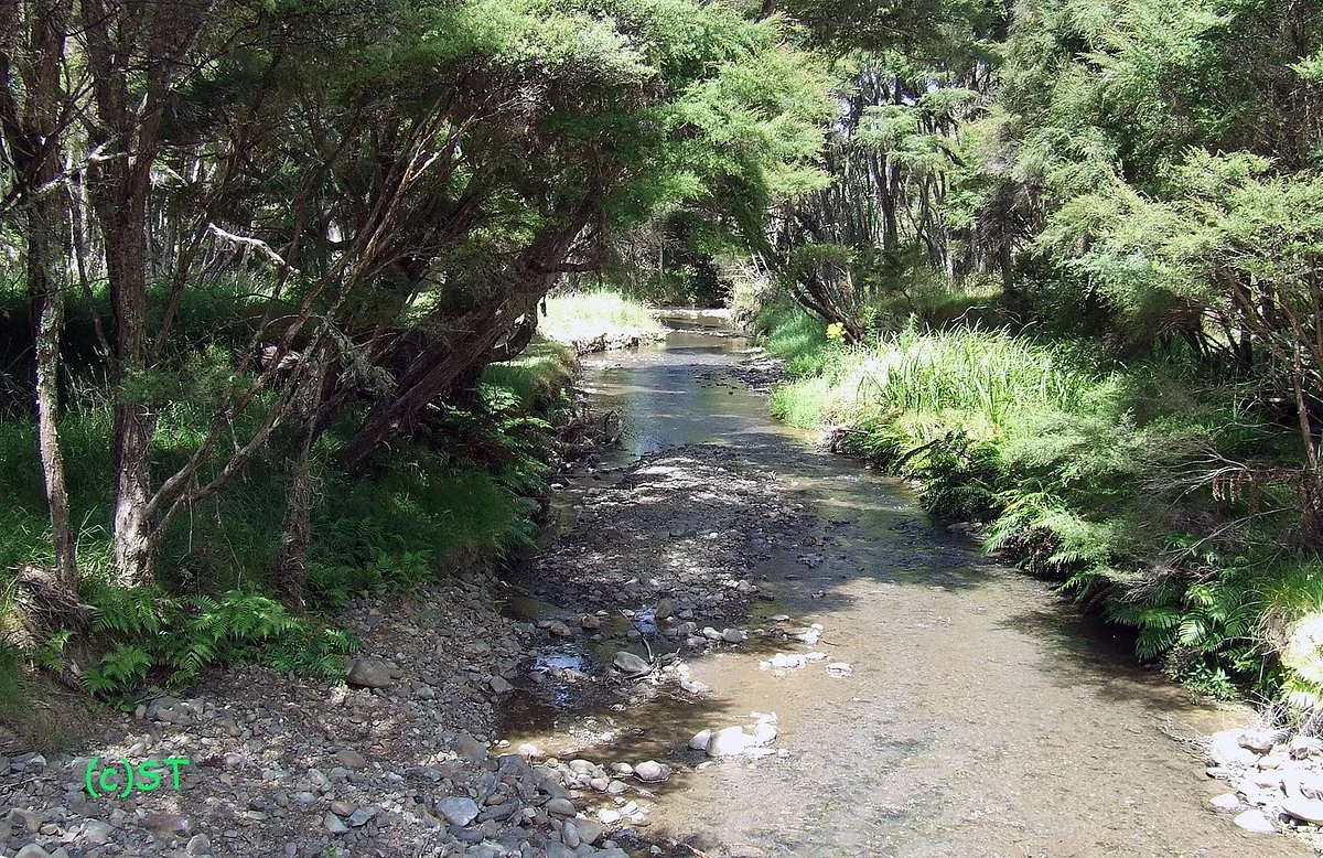Waharau Regional Park