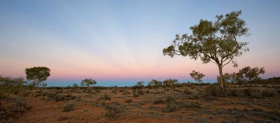 Sturt National Park