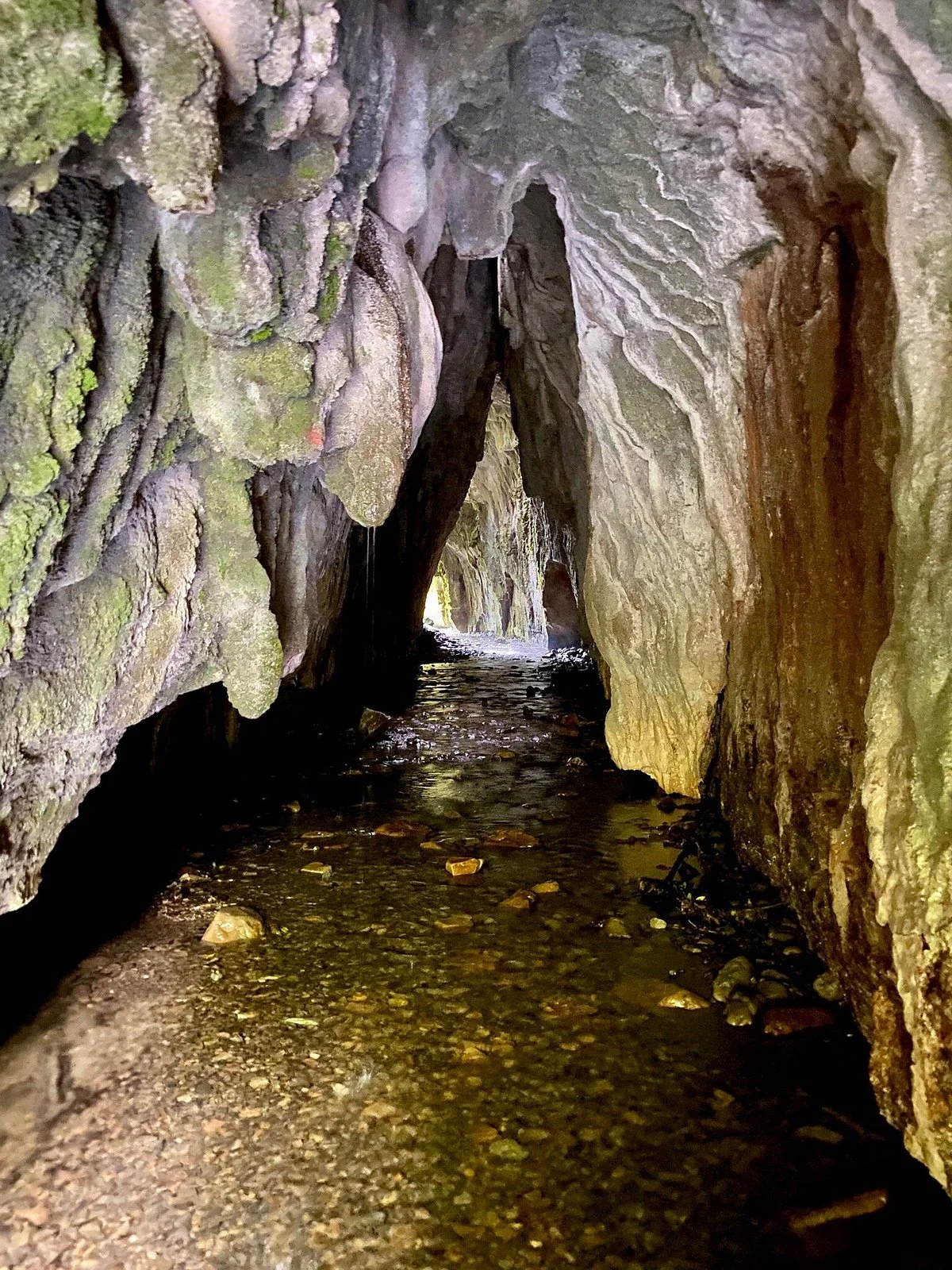 Limestone Creek Glow Worms Caves