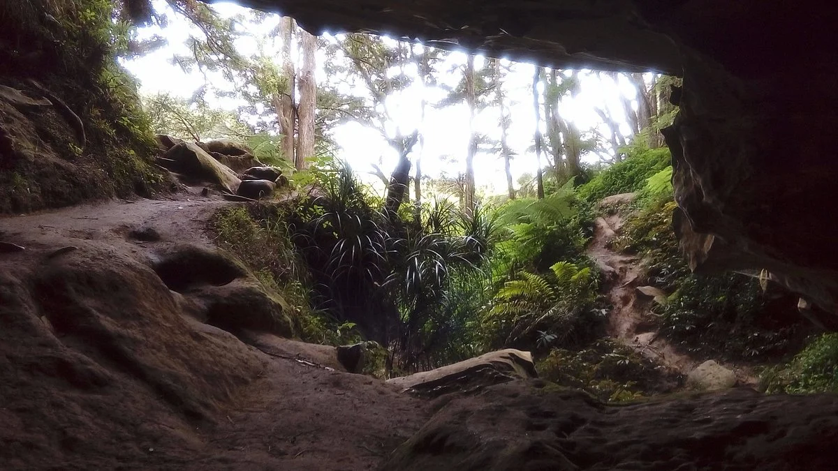 Waipu Caves Track
