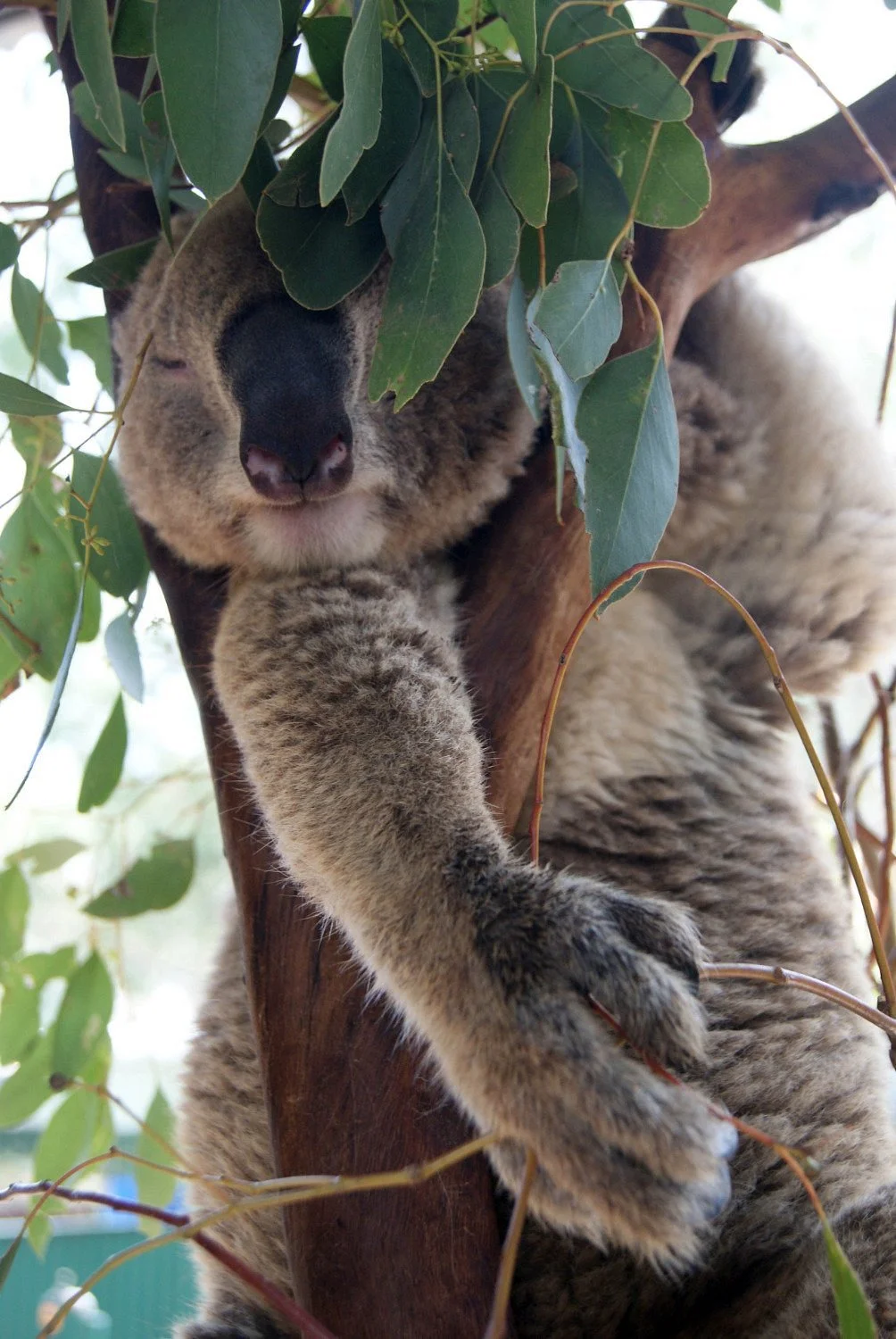 Waterways Wildlife Park