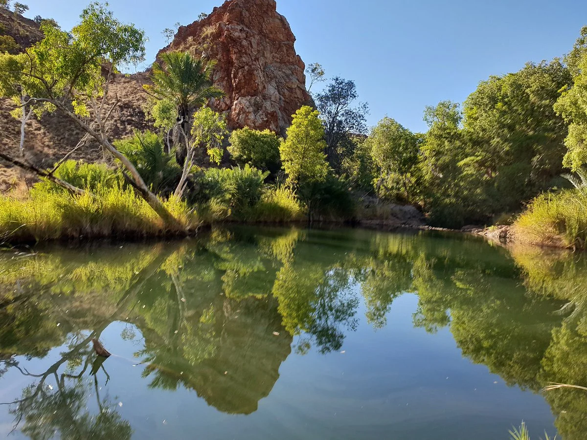 Palm Springs Nature Reserve