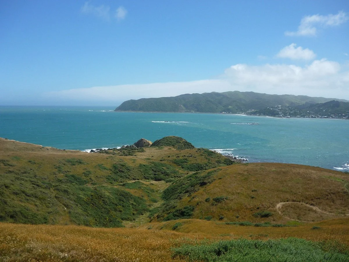 Porirua Harbour