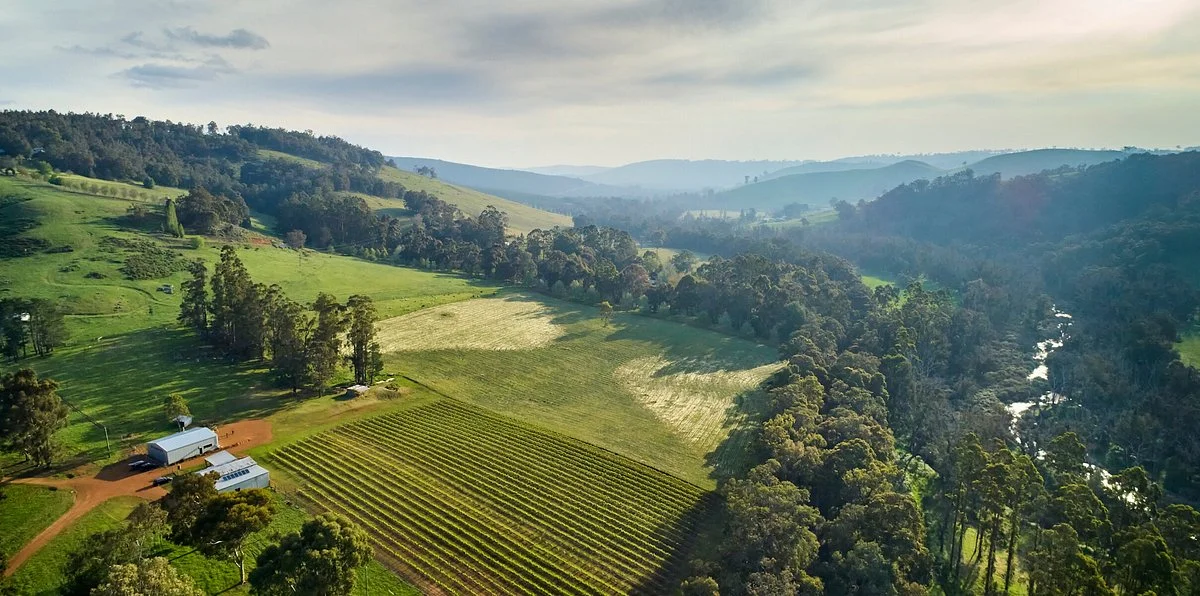 Whimwood Estate Wines