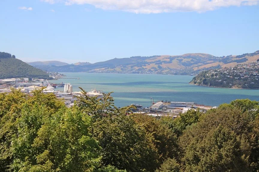 Unity Park Lookout