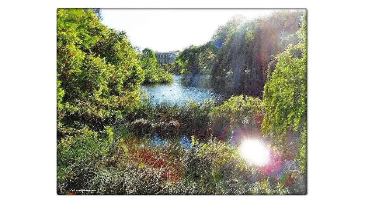 Harry Sawkins Park