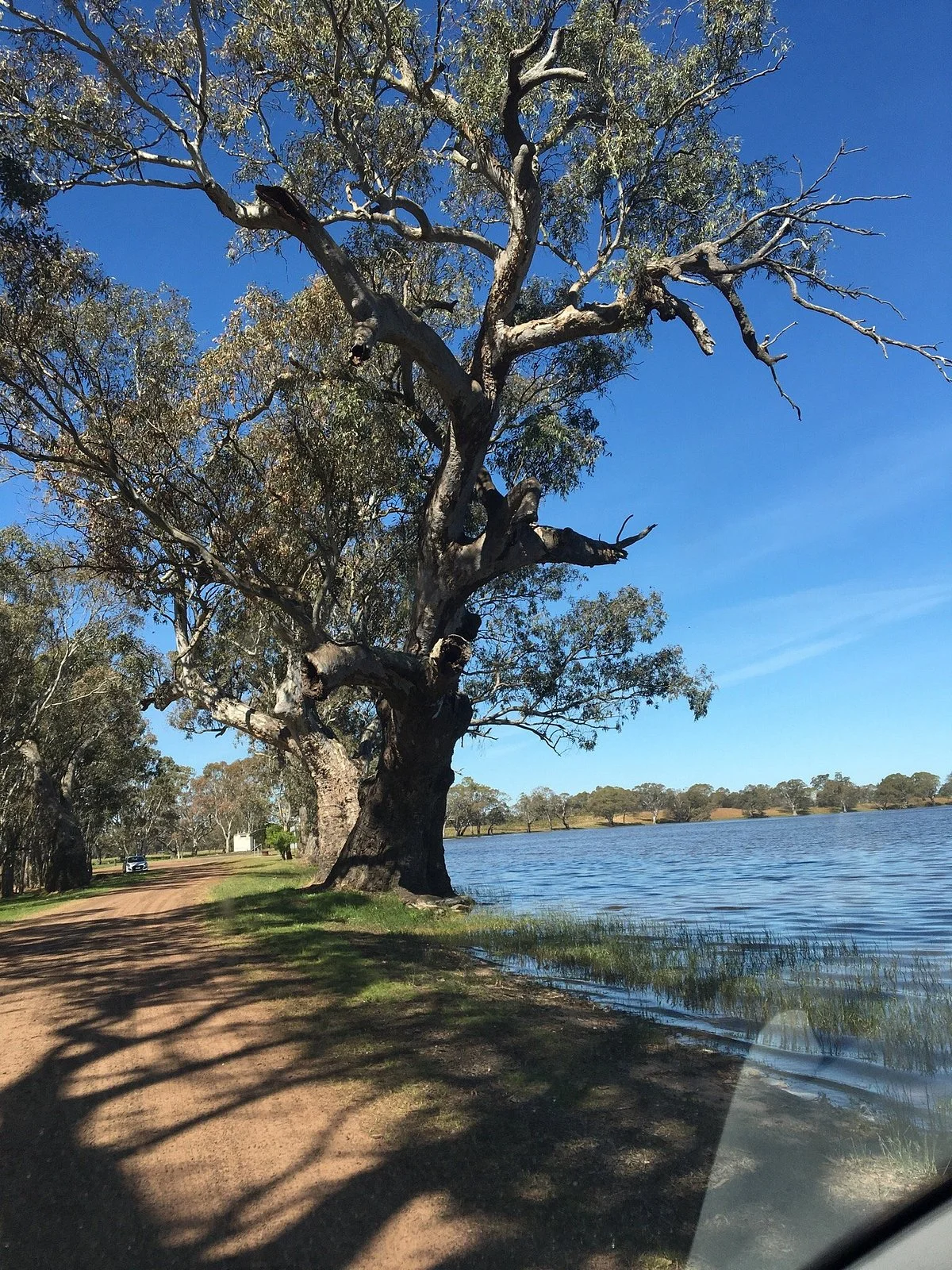 Lake Bringalbert