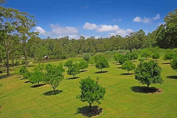 Bawley Vale Estate