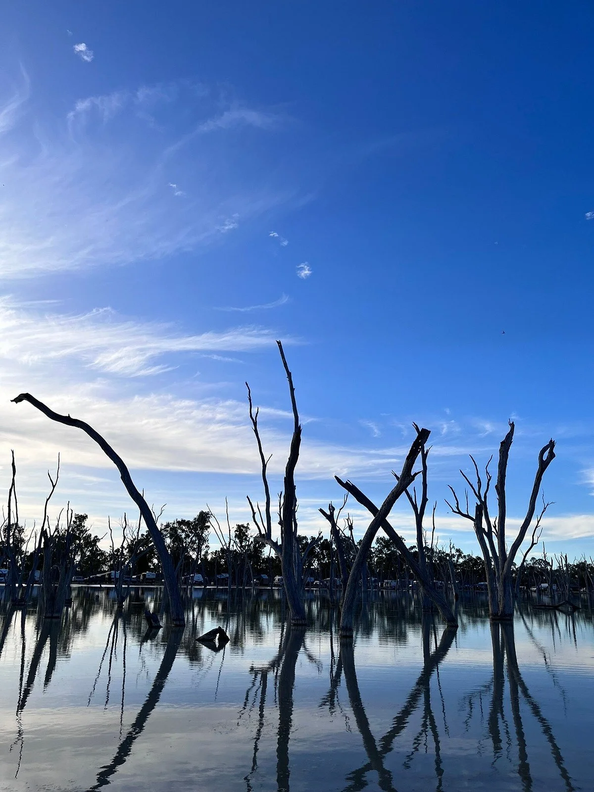 Lara Wetlands