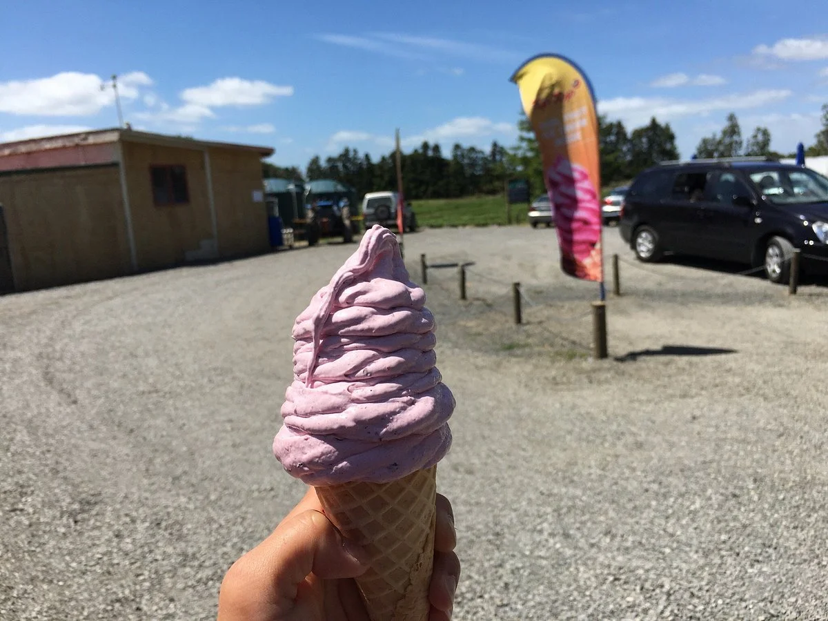 Ye Olde Berry Farm