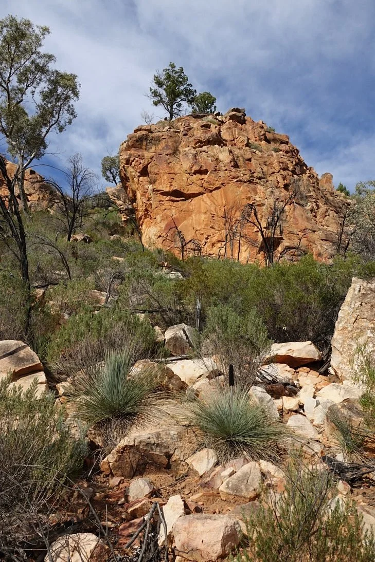 Wilpena Panorama