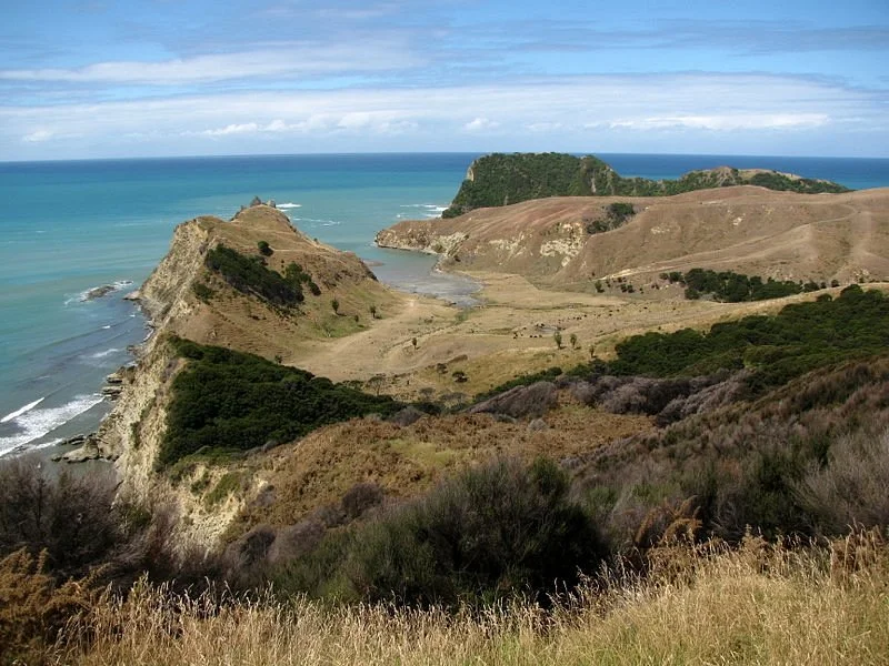 Cooks Cove Walkway
