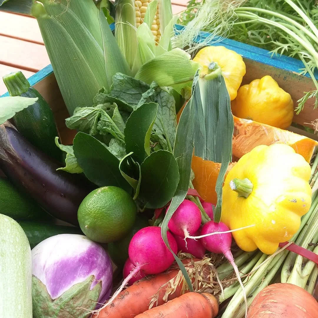 Tamworth Growers' Market