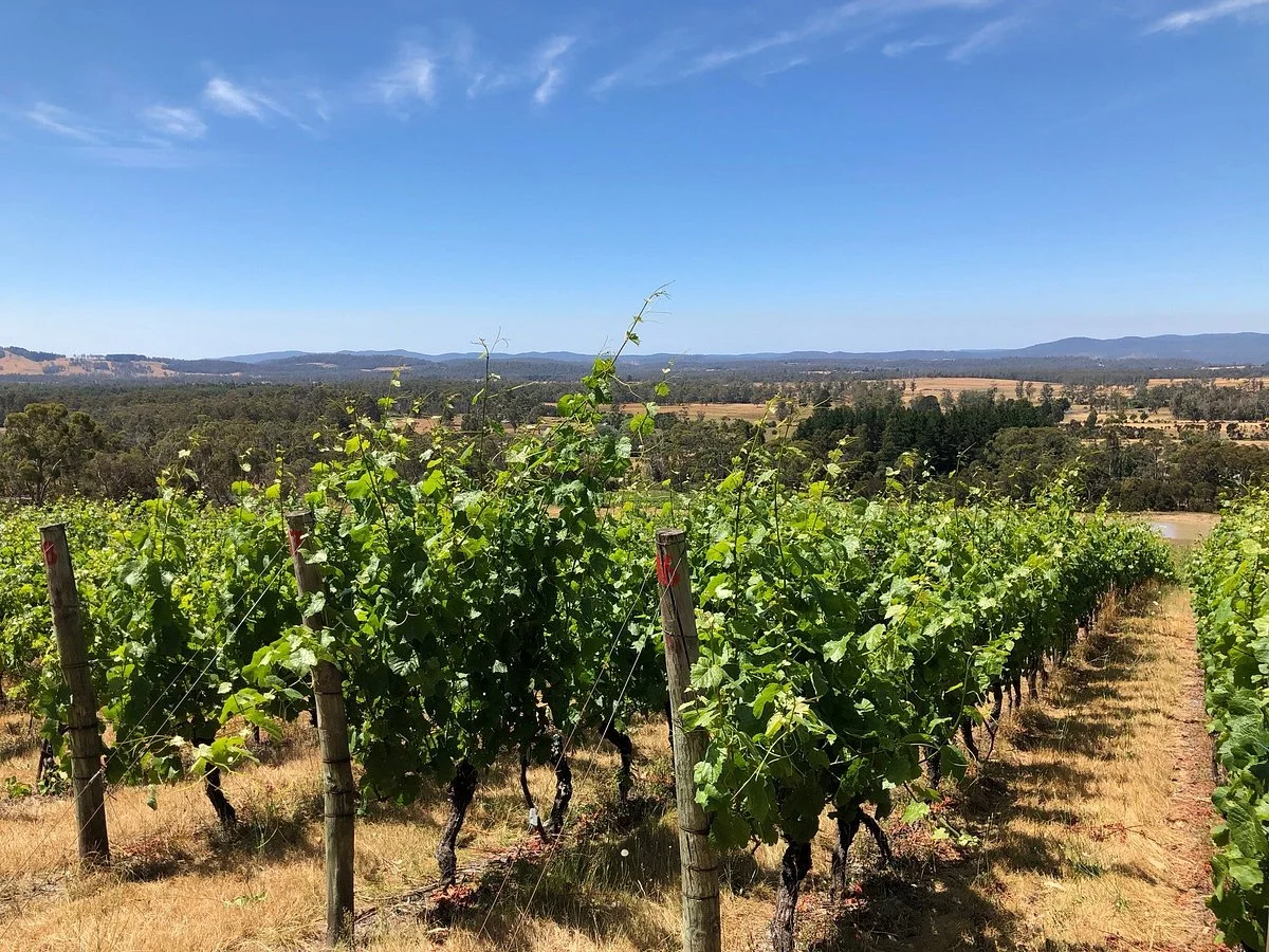 Grey Sands Vineyard