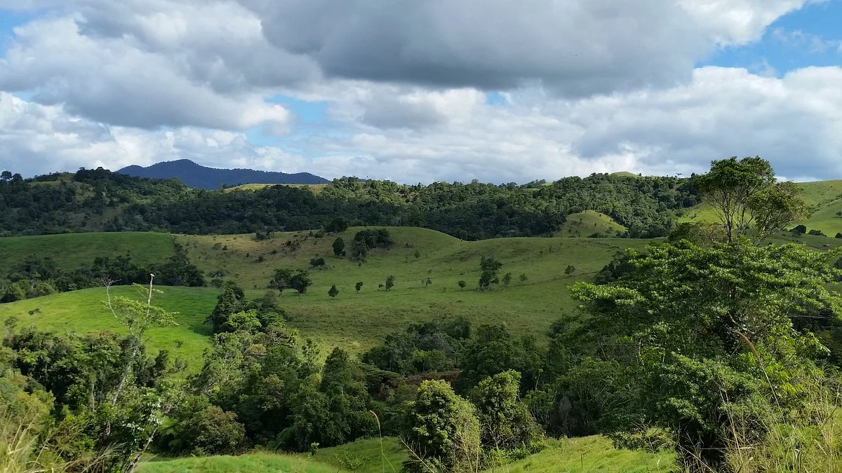Mungalli Creek Dairy Farm