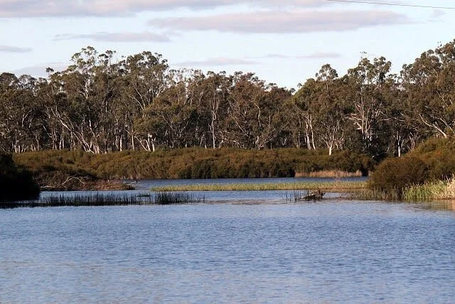 Cherrypool Highway Park
