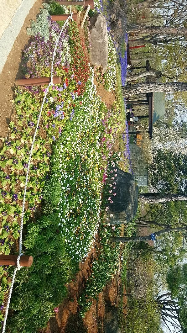 Jeonju Arboretum