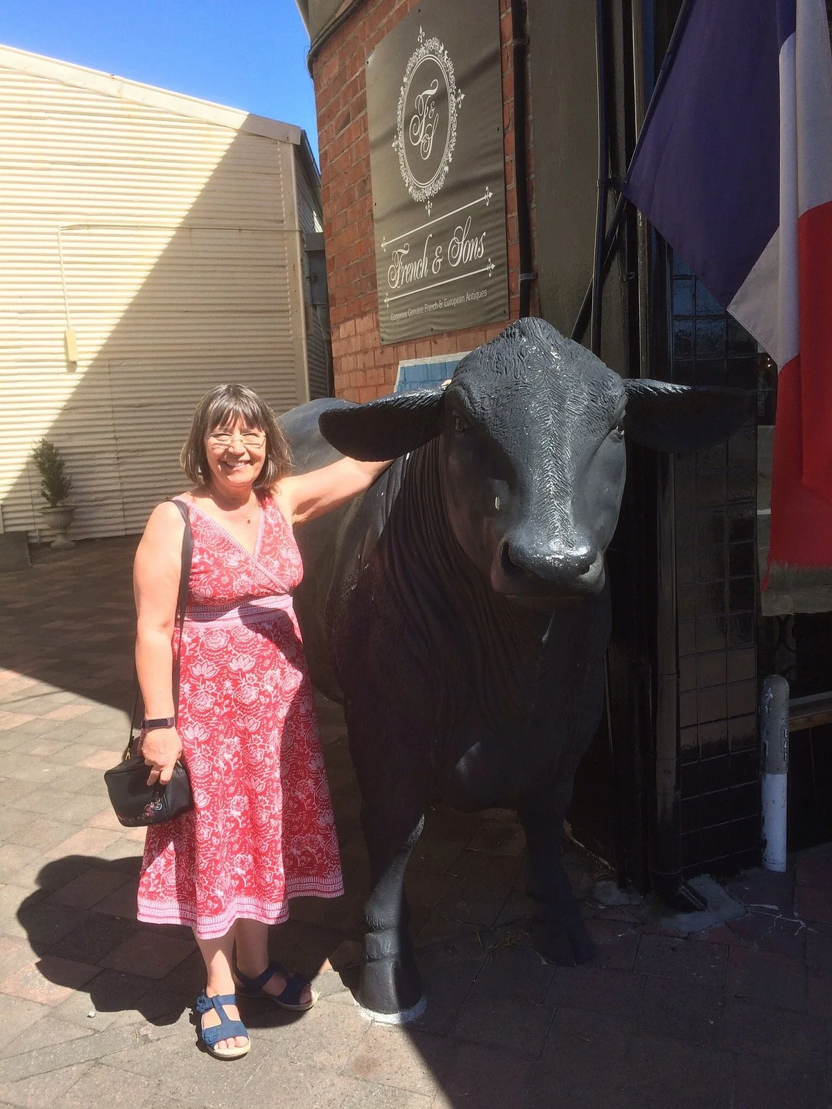 Bulls Antiques