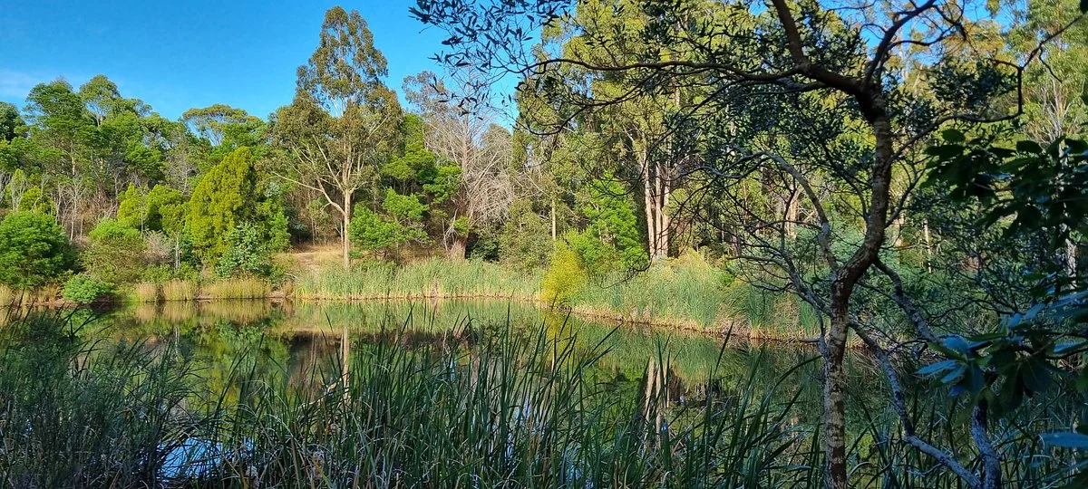 Creswick Regional Park