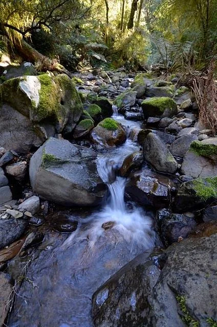 New England National Park