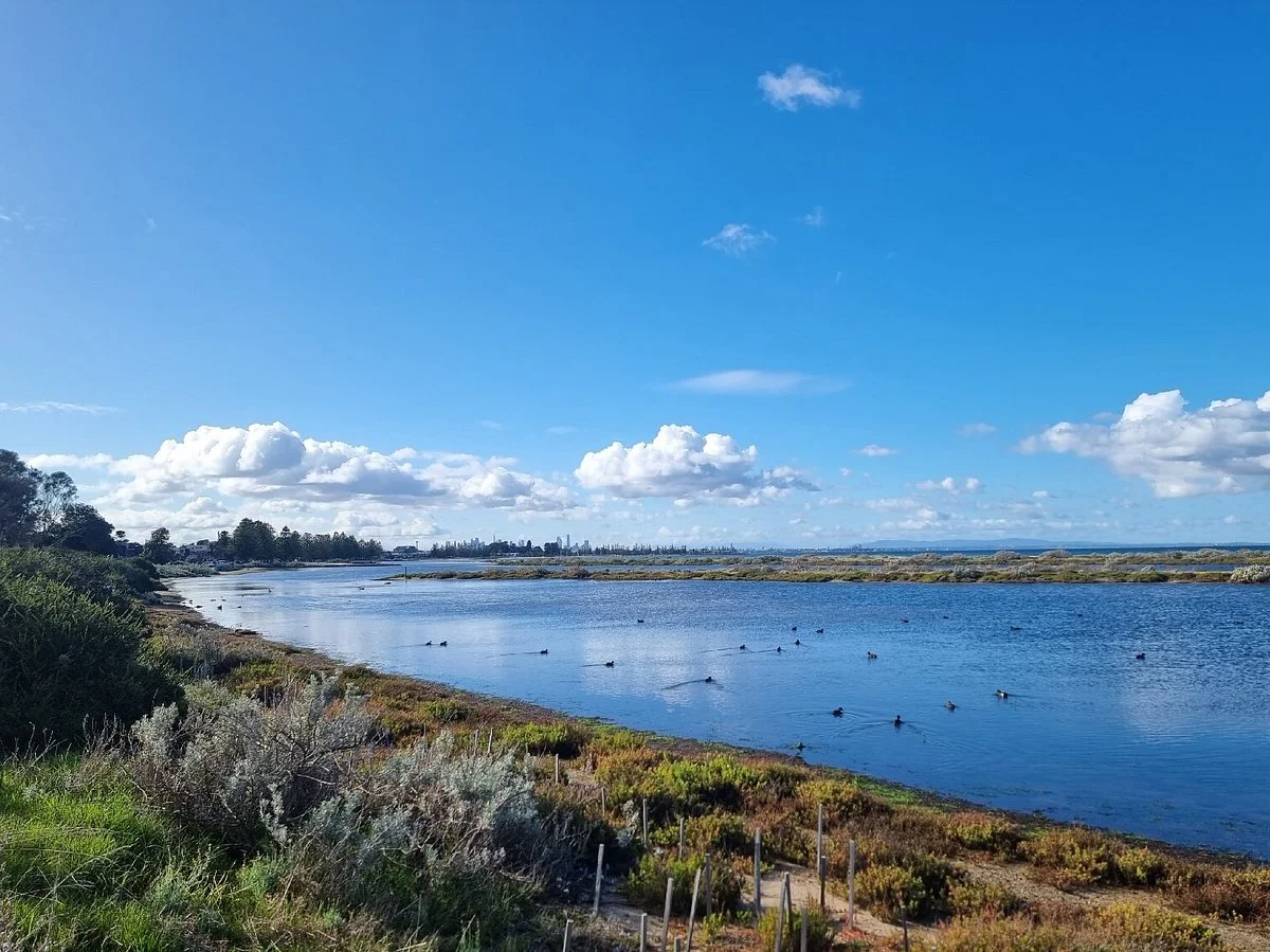 Cheetham Wetlands