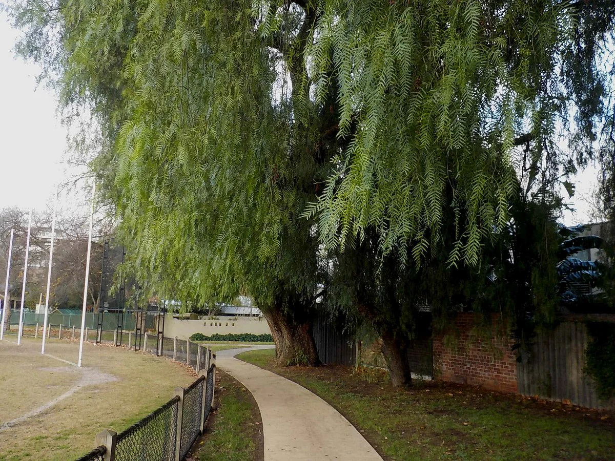 Victoria Road Reserve