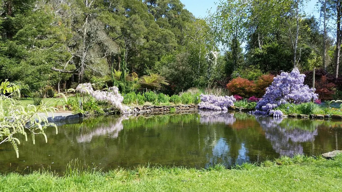 Allendale Gardens
