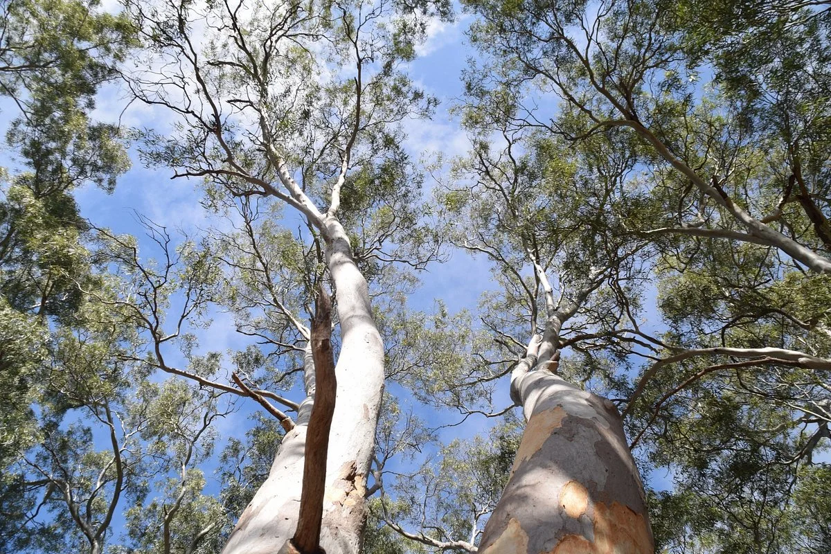 Shepherds Hill Recreation Park
