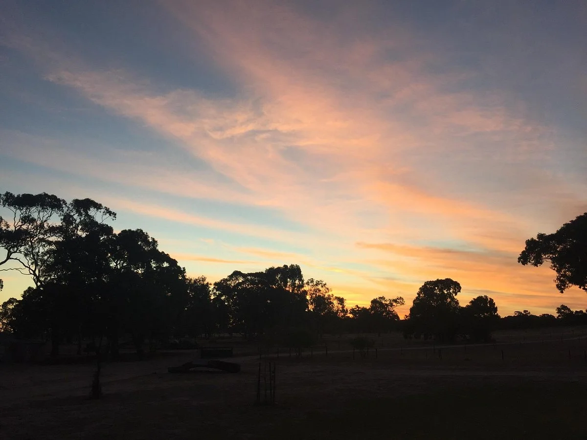 Black Cockatoo Bush Camp Hiking Trails