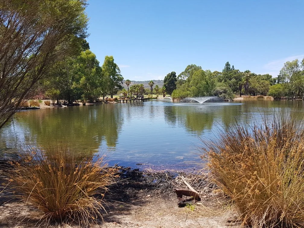 Hartfield Park Federation Gardens