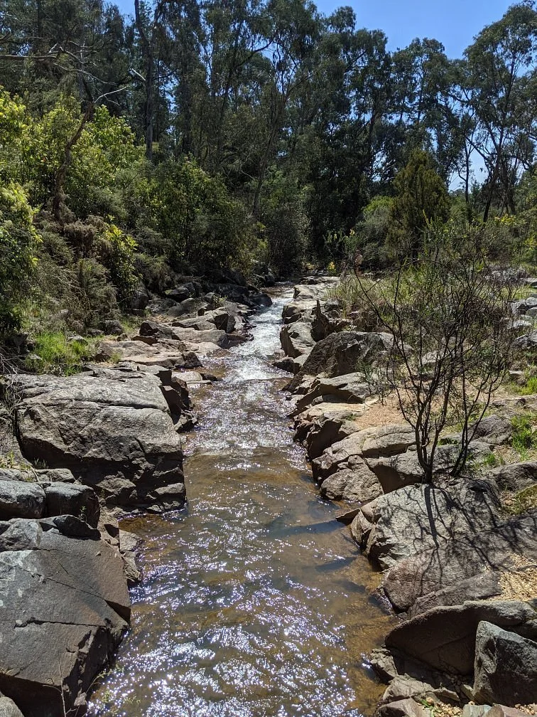 Yackandandah Mining Gorge