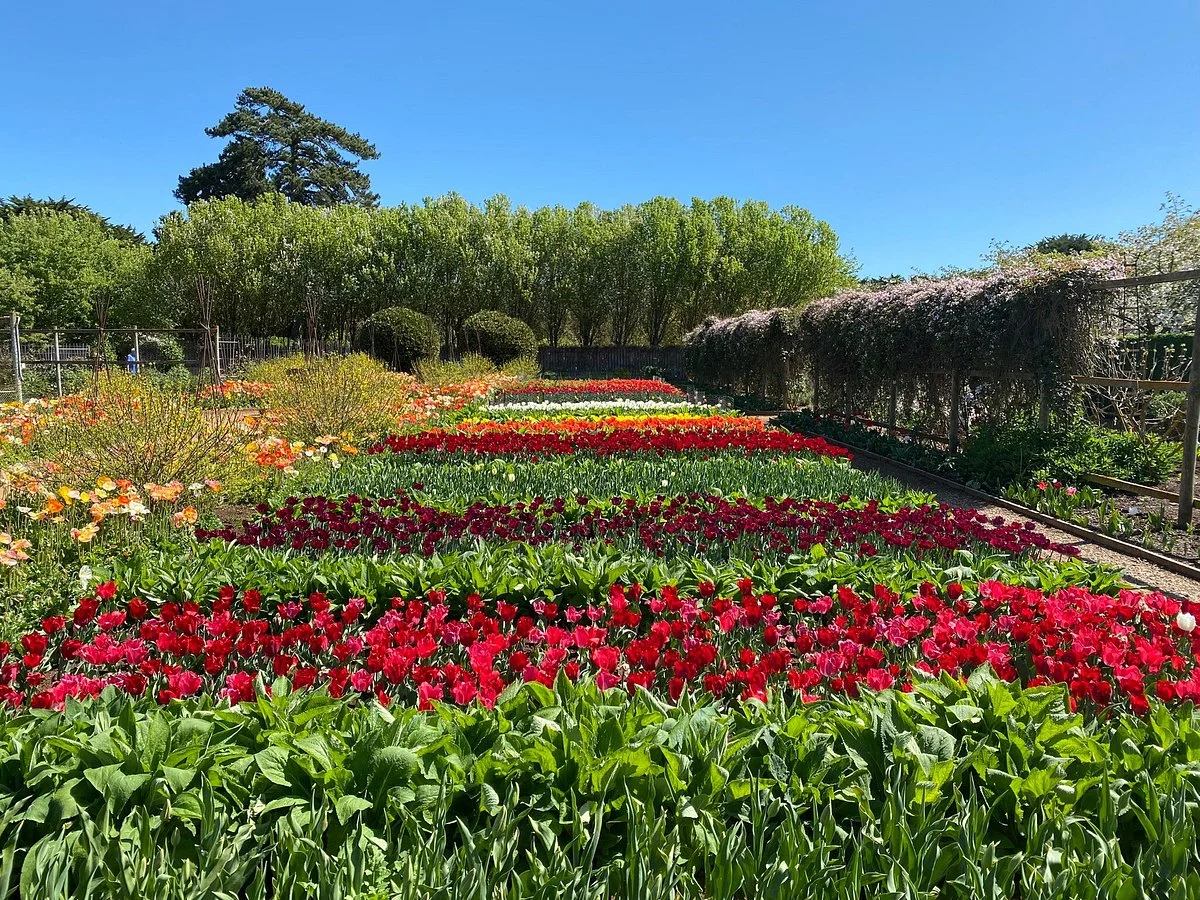 Lambley Gardens & Nursery