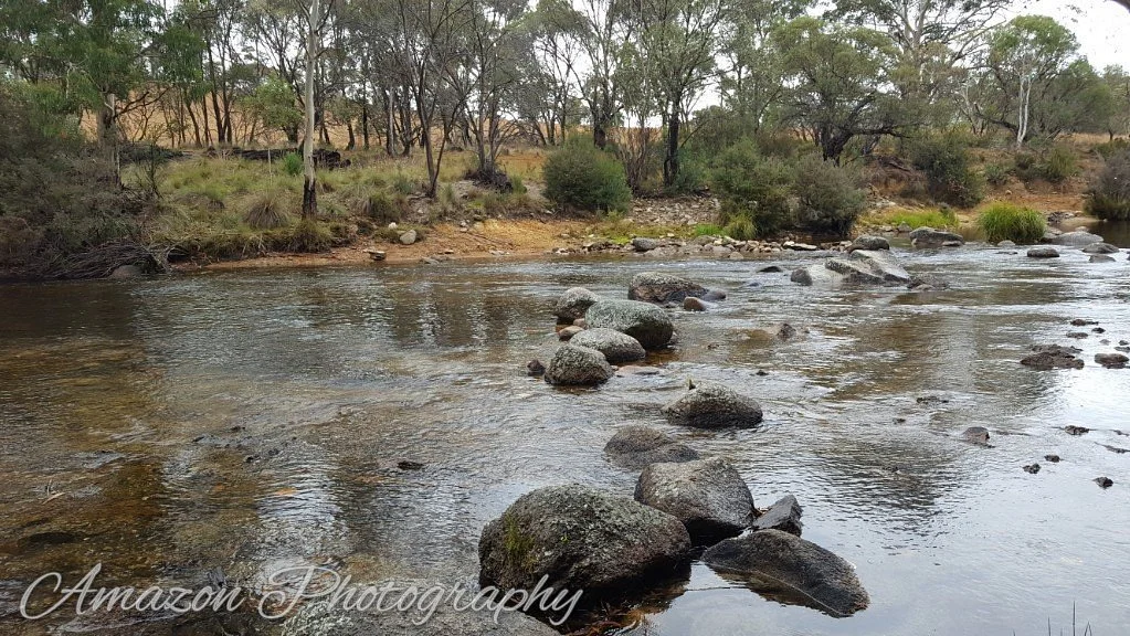 Thredbo River Track