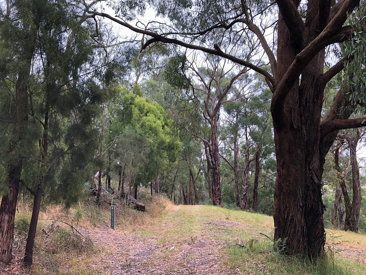 Pioneer Reserve