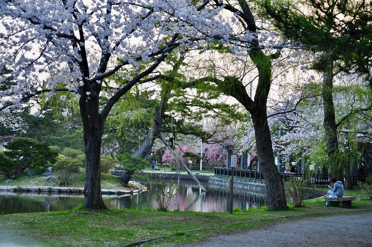 Gappo Park