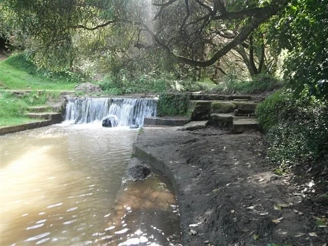 William Birch Pools