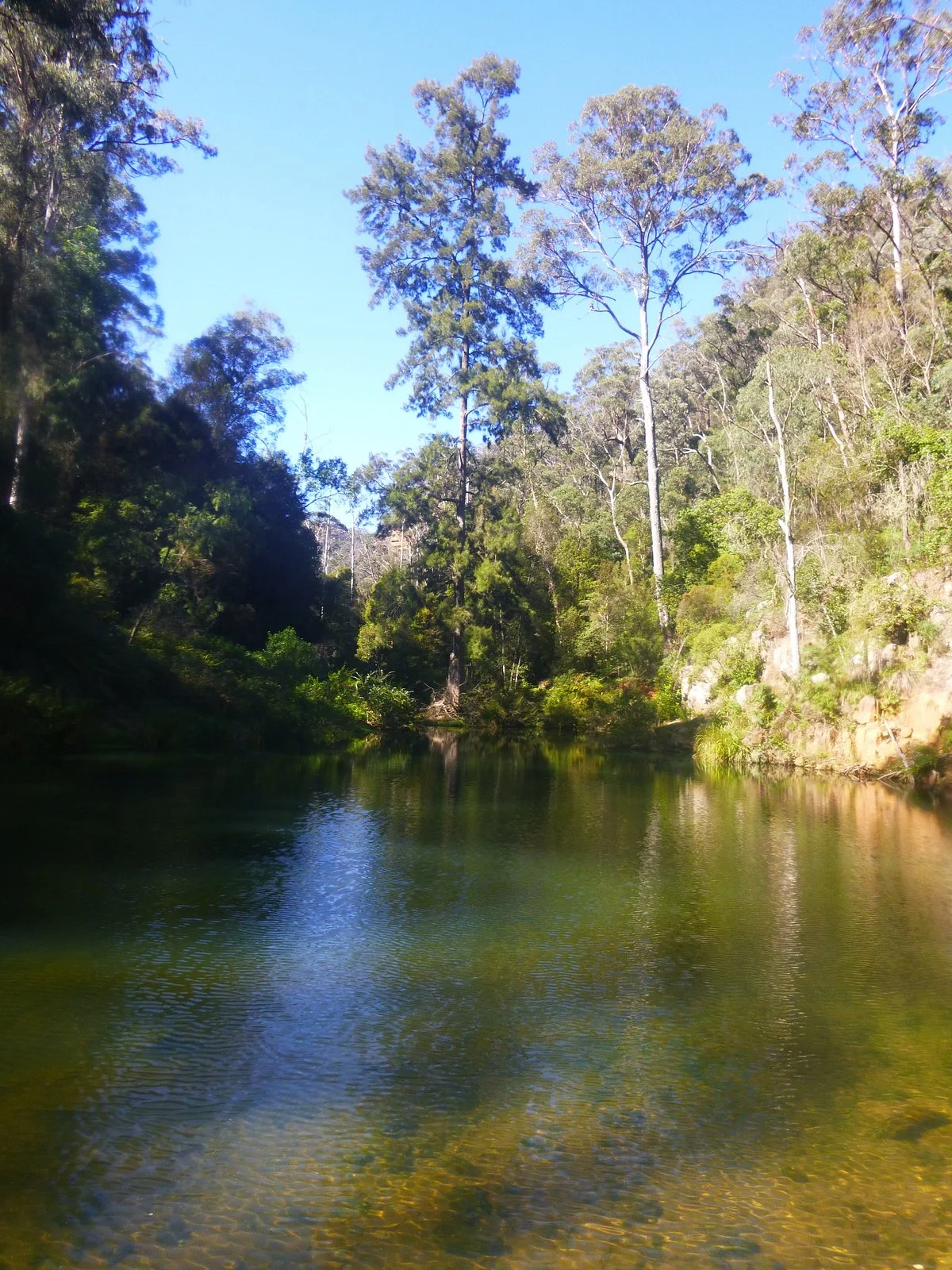 Box Vale Walking Track