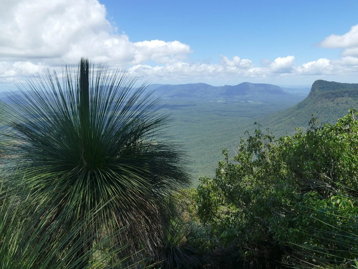 Border Ranges National Park