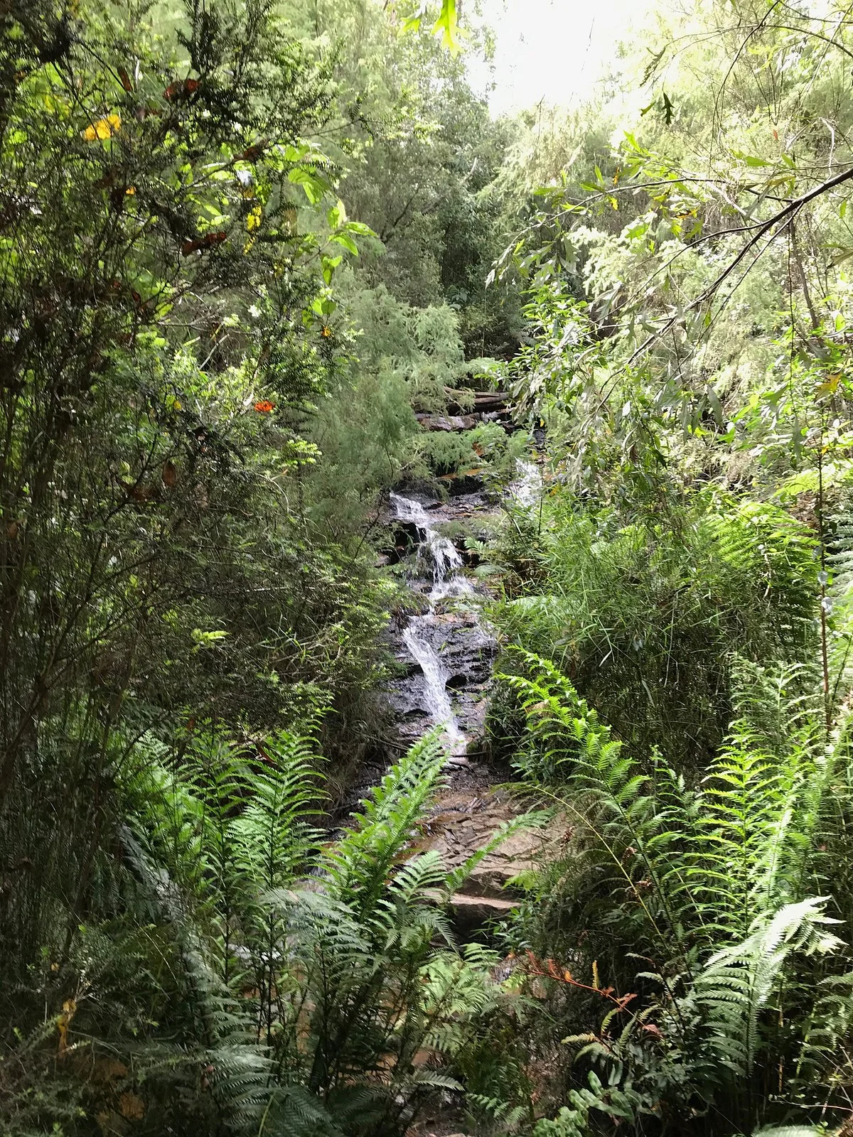Lawson Falls