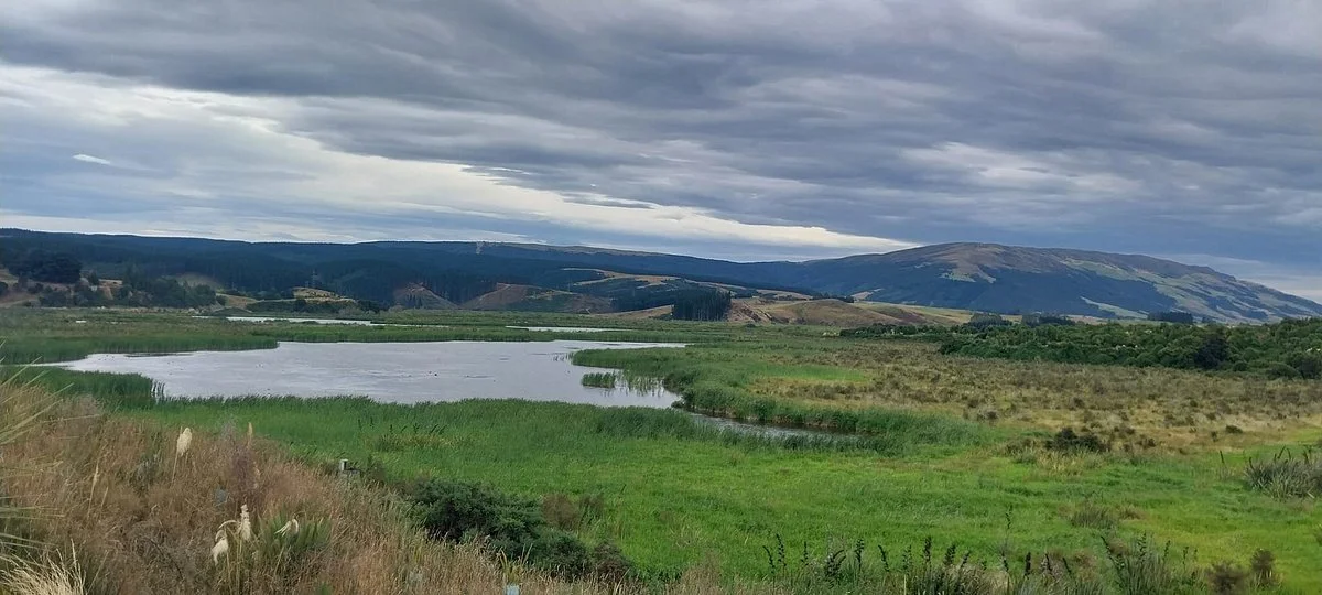 Sinclair Wetlands