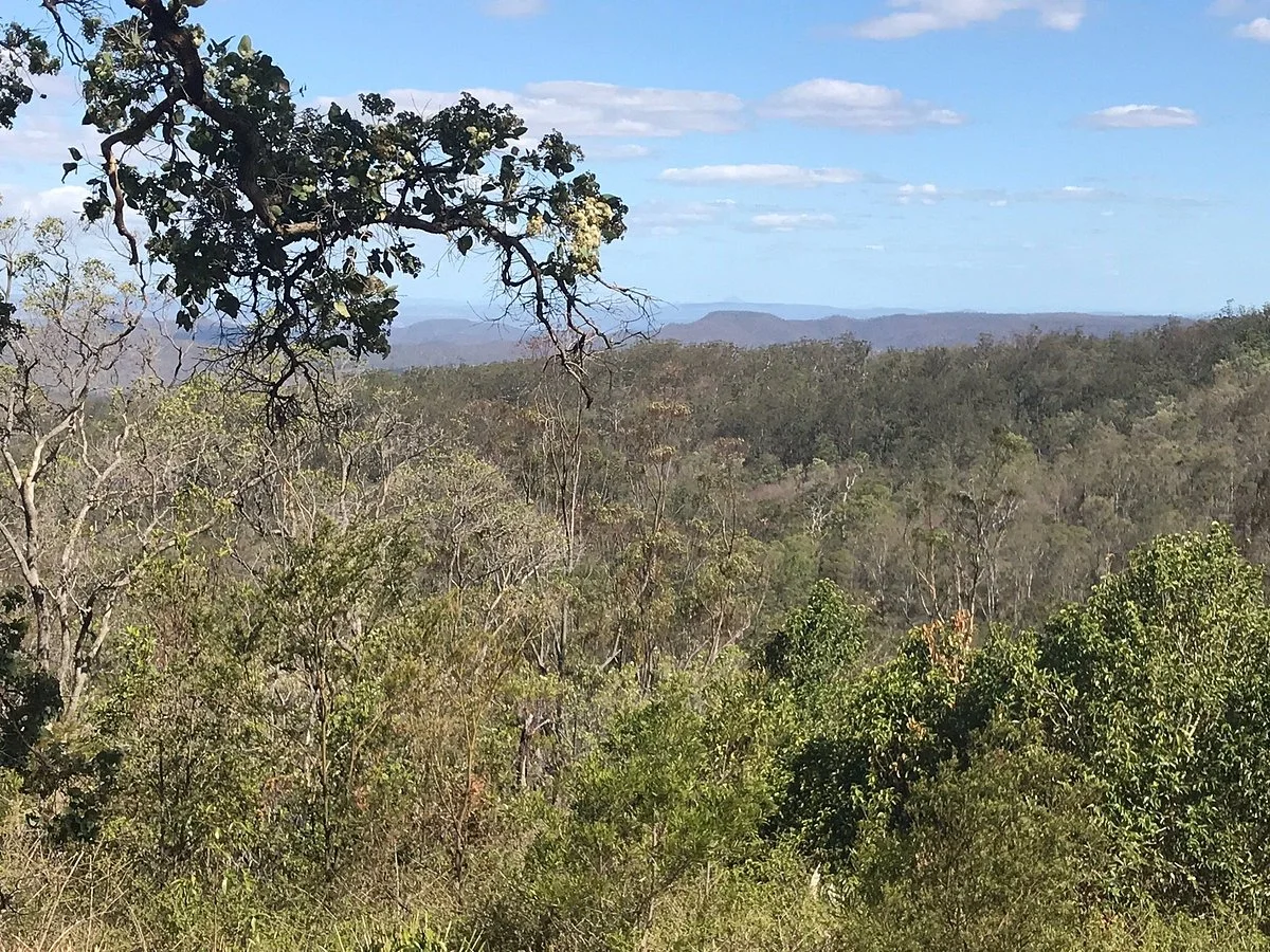 Ravensbourne National Park