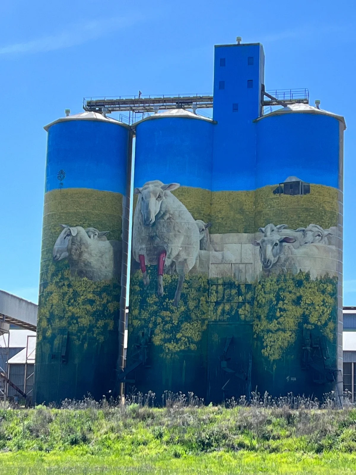 Merriwa Silo Art