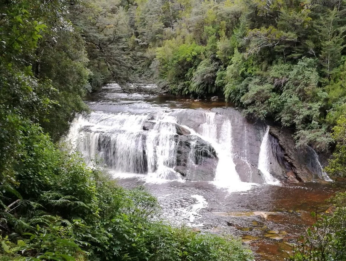 Coal Creek Track