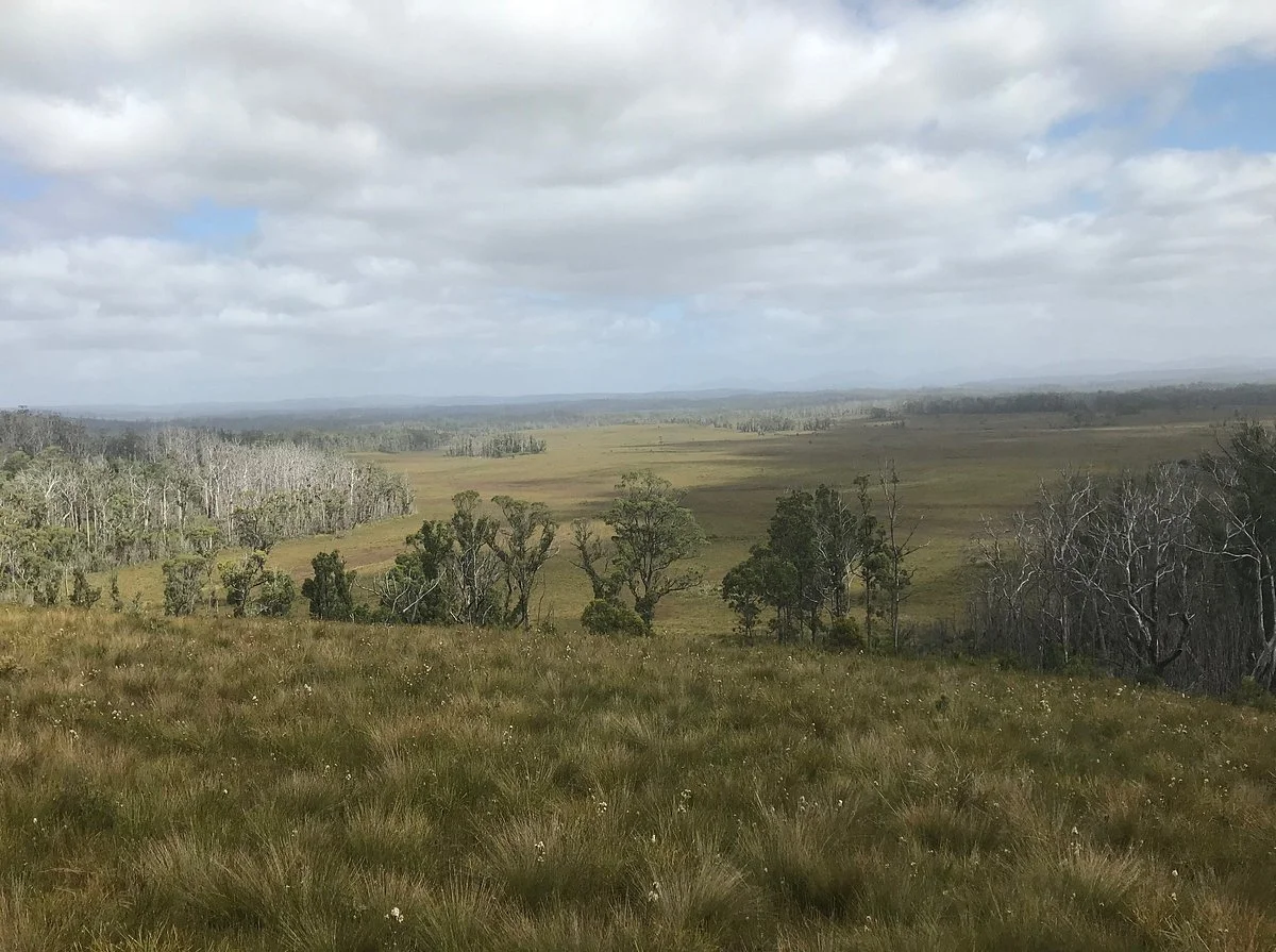 Dempster Plains Lookout